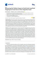 Measuring the Welfare Impact of Soft-Catch Leg-Hold Trapping for Feral Cats on Non-Target By-Catch
