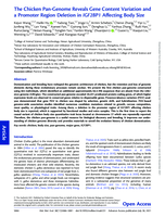 The chicken pan-genome reveals gene content variation and a promoter region deletion in IGF2BP1 affecting body size