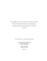 A multidimensional developmental neuropsychological model of borderline personality disorder (BPD): examining evidence for impairments in 'executive function'