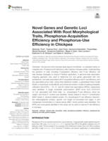 Novel genes and genetic loci associated with root morphological traits, phosphorus-acquisition efficiency and phosphorus-use efficiency in chickpea