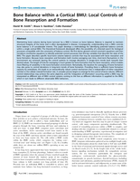 Bone balance within a cortical BMU: Local controls of bone resorption and formation