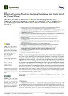 Effects of sowing mode on lodging resistance and grain yield in winter wheat
