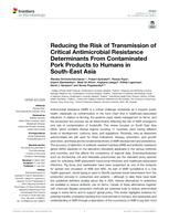 Reducing the risk of transmission of critical antimicrobial resistance determinants from contaminated pork products to humans in South-East Asia