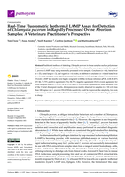 Real-time fluorometric isothermal LAMP assay for detection of Chlamydia pecorum in rapidly processed ovine abortion samples: A veterinary practitioner’s perspective