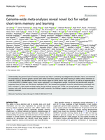 Genome-wide meta-analyses reveal novel loci for verbal short-term memory and learning