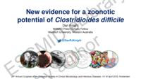 New evidence for a zoonotic potential of Clostridium difficile