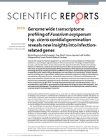 Genome wide transcriptome profiling of Fusarium oxysporum f sp. ciceris conidial germination reveals new insights into infection-related genes