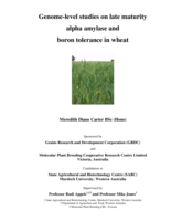 Genome-level studies on late maturity alpha amylase and boron tolerance in wheat