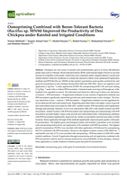 Osmopriming combined with Boron-Tolerant Bacteria (Bacillus sp. MN54) improved the productivity of Desi Chickpea under rainfed and irrigated conditions