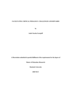 Facilitating critical pedagogy: Challenges and rewards