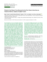 Wisteria vein mosaic virus detected for the first time in Iran from an unknown host by analysis of aphid vectors
