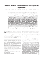 The role of Hfe in transferrin-bound iron uptake by hepatocytes