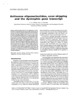 Antisense oligonucleotides, exon skipping and the dystrophin gene transcript