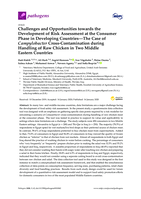Challenges and opportunities towards the development of risk assessment at the consumer phase in developing countries - The case of Campylobacter cross-contamination during handling of raw chicken in two Middle Eastern countries
