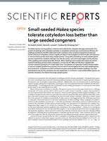 Small-seeded Hakea species tolerate cotyledon loss better than large-seeded congeners