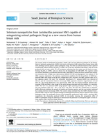 Selenium nanoparticles from Lactobacillus paracasei HM1 capable of antagonizing animal pathogenic fungi as a new source from human breast milk