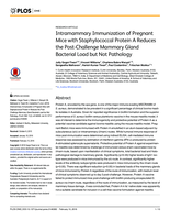 Intramammary immunization of pregnant mice with staphylococcal protein a reduces the post-challenge mammary gland bacterial load but not pathology