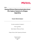 Energy-efficient electrochemically-driven CO2 capture systems for biogas upgrading