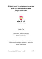 Haplotypes of cleistogamous flowering gene cly1 and association with temperature stress