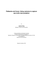 Flatbacks and foxes: Using cameras to capture sea turtle nest predation