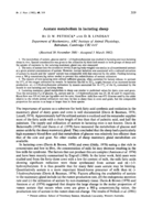 Acetate metabolism in lactating sheep