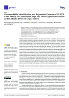Genome-wide identification and expansion patterns of SULTR gene family in Gramineae crops and their expression profiles under abiotic stress in Oryza sativa