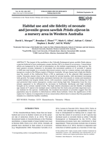 Habitat use and site fidelity of neonate and juvenile green sawfish Pristis zijsron in a nursery area in Western Australia