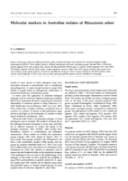 Molecular markers in Australian isolates of Rhizoctonia solani