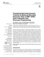 Transplacental innate immune training via maternal microbial exposure: Role of XBP1-ERN1 axis in dendritic cell precursor programming
