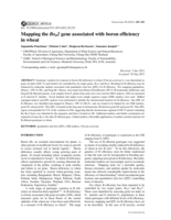 Mapping the Bod2 gene associated with boron efficiency in wheat