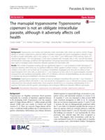 The marsupial trypanosome Trypanosoma copemani is not an obligate intracellular parasite, although it adversely affects cell health