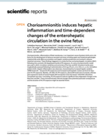 Chorioamnionitis induces hepatic inflammation and time-dependent changes of the enterohepatic circulation in the ovine fetus