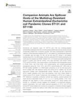 Companion animals are spillover hosts of the Multidrug-resistant human extraintestinal escherichia coli pandemic Clones ST131 and ST1193