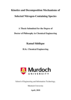 Kinetics and decomposition mechanisms of selected Nitrogen-containing species