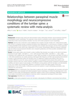 Relationships between paraspinal muscle morphology and neurocompressive conditions of the lumbar spine: a systematic review with meta-analysis