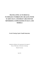 Translating AI to digital pathology workflow: Dealing with scarce data and high variation by minimising complexities in data and models