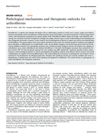 Pathological mechanisms and therapeutic outlooks for arthrofibrosis