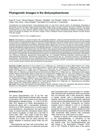 Phylogenetic lineages in the Botryosphaeriaceae