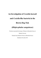 An investigation of Coxiella burnetii and Coxiella-like bacteria in the brown dog tick (Rhipicephalus sanguineus)