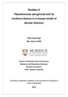 Studies of Pseudomonas aeruginosa and its virulence factors in a mouse model of dermal infection