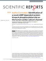 Author Correction: Identification of a novel cAMP dependent protein kinase A phosphorylation site on the human cardiac calcium channel