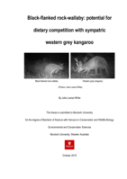 Black-flanked rock-wallaby: Potential for dietary competition with sympatric western grey kangaroo