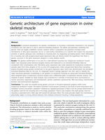 Genetic architecture of gene expression in ovine skeletal muscle