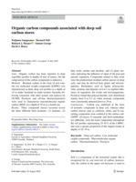 Organic carbon compounds associated with deep soil carbon stores