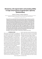 Autotomy, tail regeneration and jumping ability in Cape dwarf geckos (Lygodactylus capensis) (Gekkonidae)