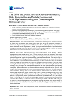 The Effect of Lupinus albus on Growth Performance, Body Composition and Satiety Hormones of Male Pigs Immunized against Gonadotrophin Releasing Factor