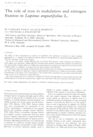 The role of iron in nodulation and nitrogen fixation in Lupinus angustifolius L