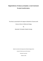 Magnetofection of tobacco protoplasts: a novel mechanism for plant transformation