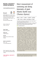 Direct measurement of swimming and diving kinematics of giant Atlantic bluefin tuna (Thunnus thynnus)