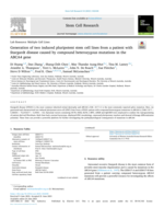 Generation of two induced pluripotent stem cell lines from a patient with Stargardt disease caused by compound heterozygous mutations in the ABCA4 gene